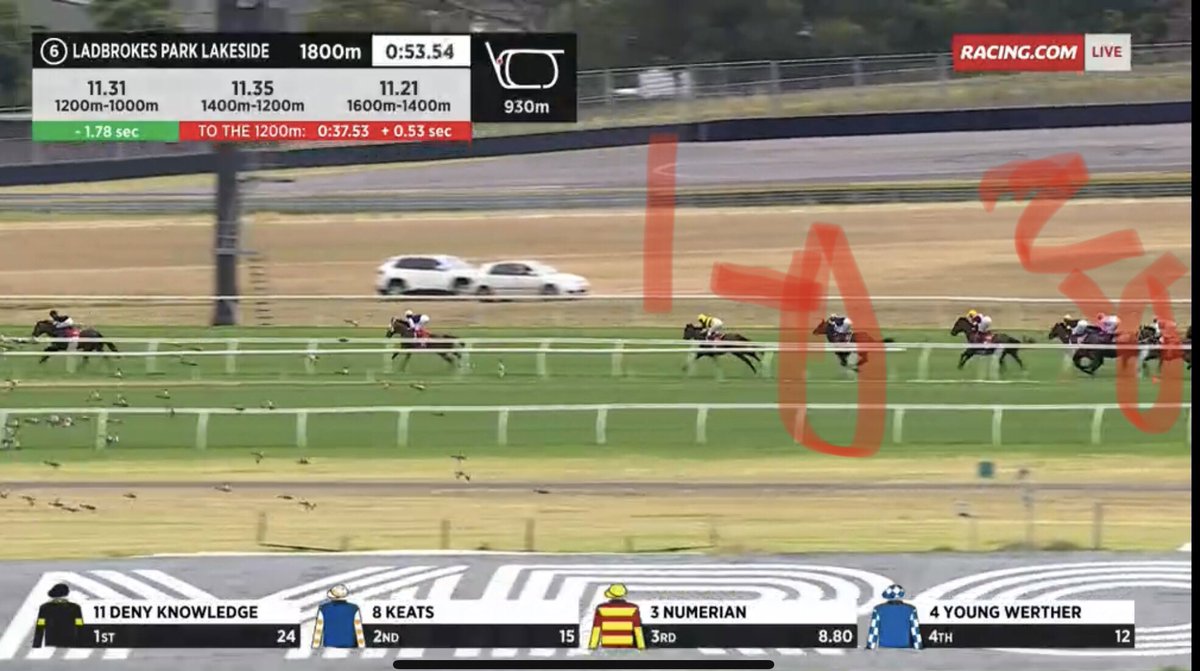 ralph horowitz on Twitter "Amazing watch with the tearaway leader meaning Steinem in the golden