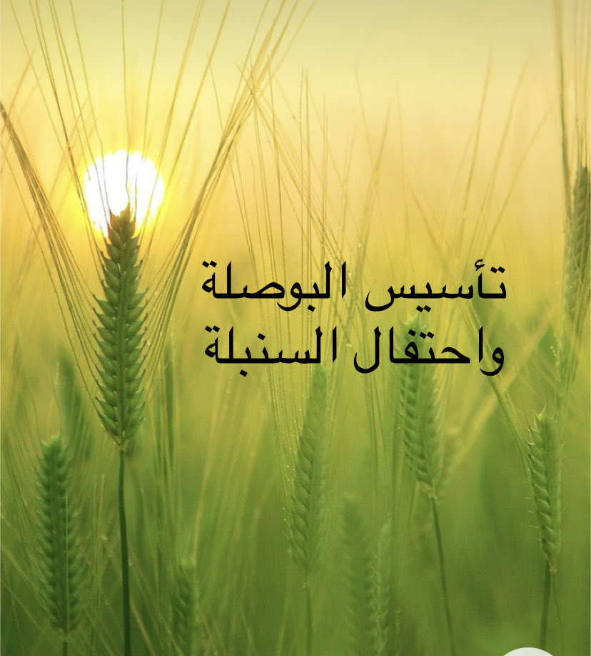 مها النصار 🌴 🇸🇦 tweet media