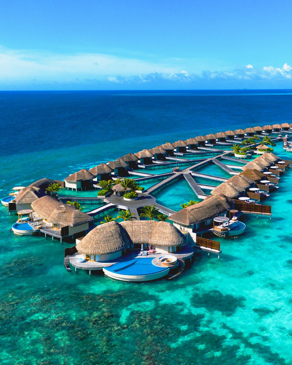 W Maldives tweet media