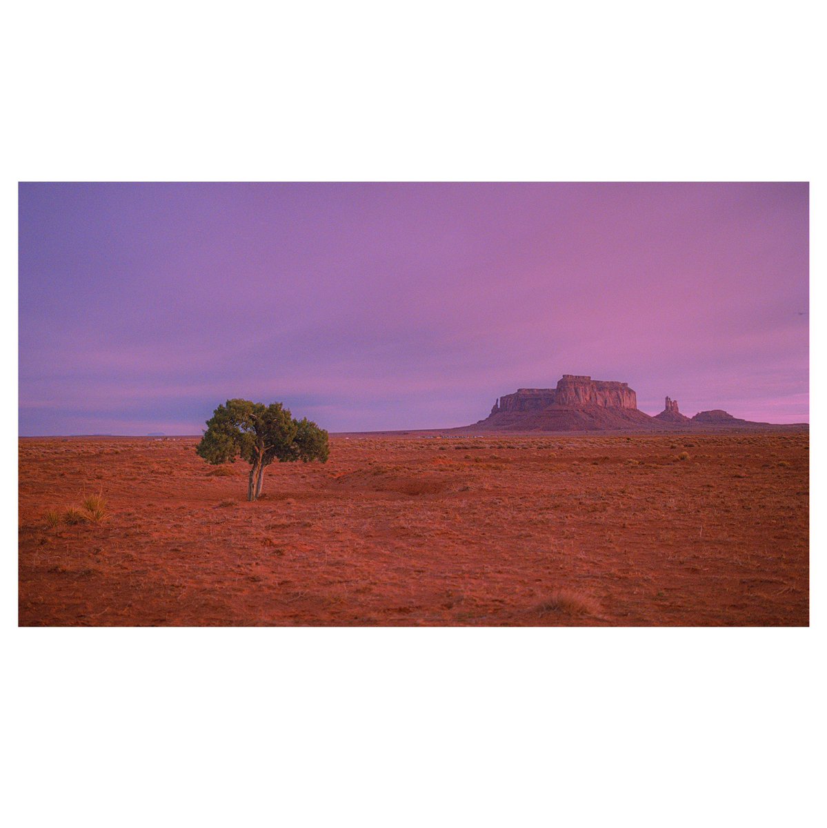 Eamon 🌃 tweet media