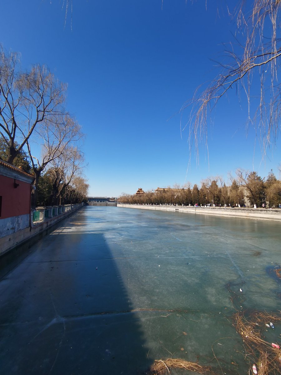 songneverend's tweet photo. Hello, Spring of Beijing! https://t.co/DtIX13ebyM