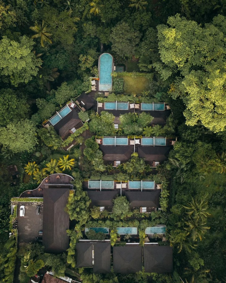 SamsaraUbud's tweet photo. Nature’s symphony of serenity, as captured through the lens of (@)jofii_ 🍃

#SamsaraUbud #Ubud #Bali #WonderfulIndonesia https://t.co/lXBT0ptKI8