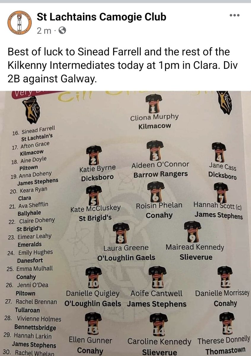 Stlachtainscamogie (@st_lachtains) on Twitter photo 