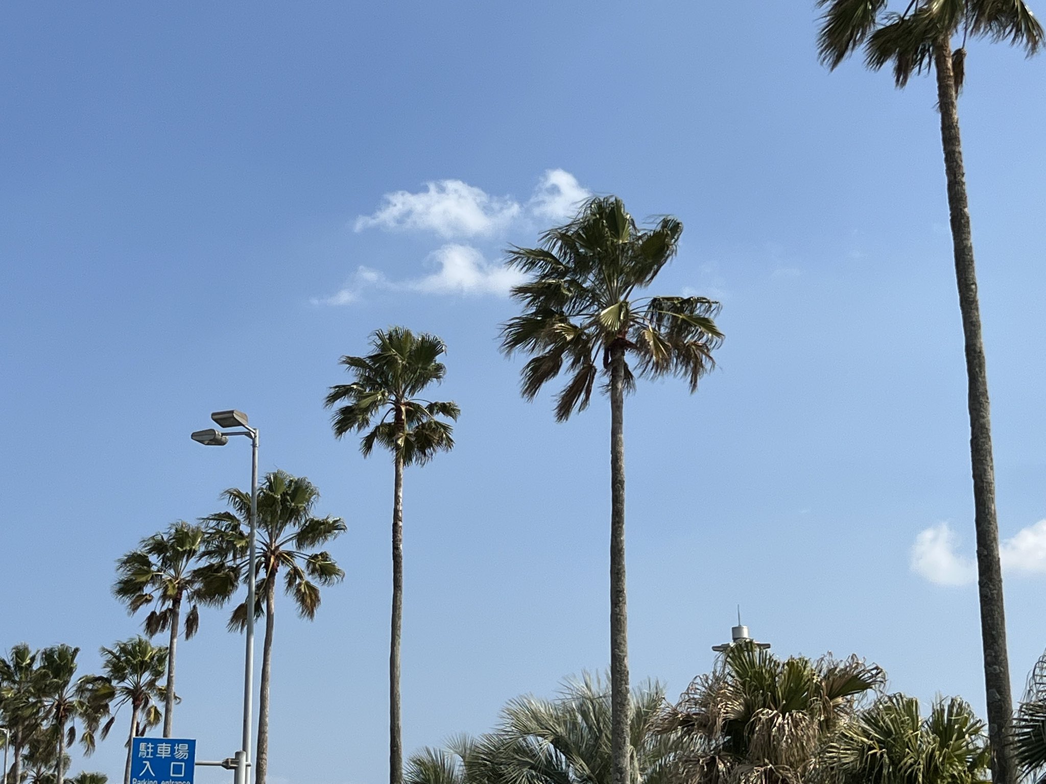 BS松竹東急ベースボールシアター on Twitter 