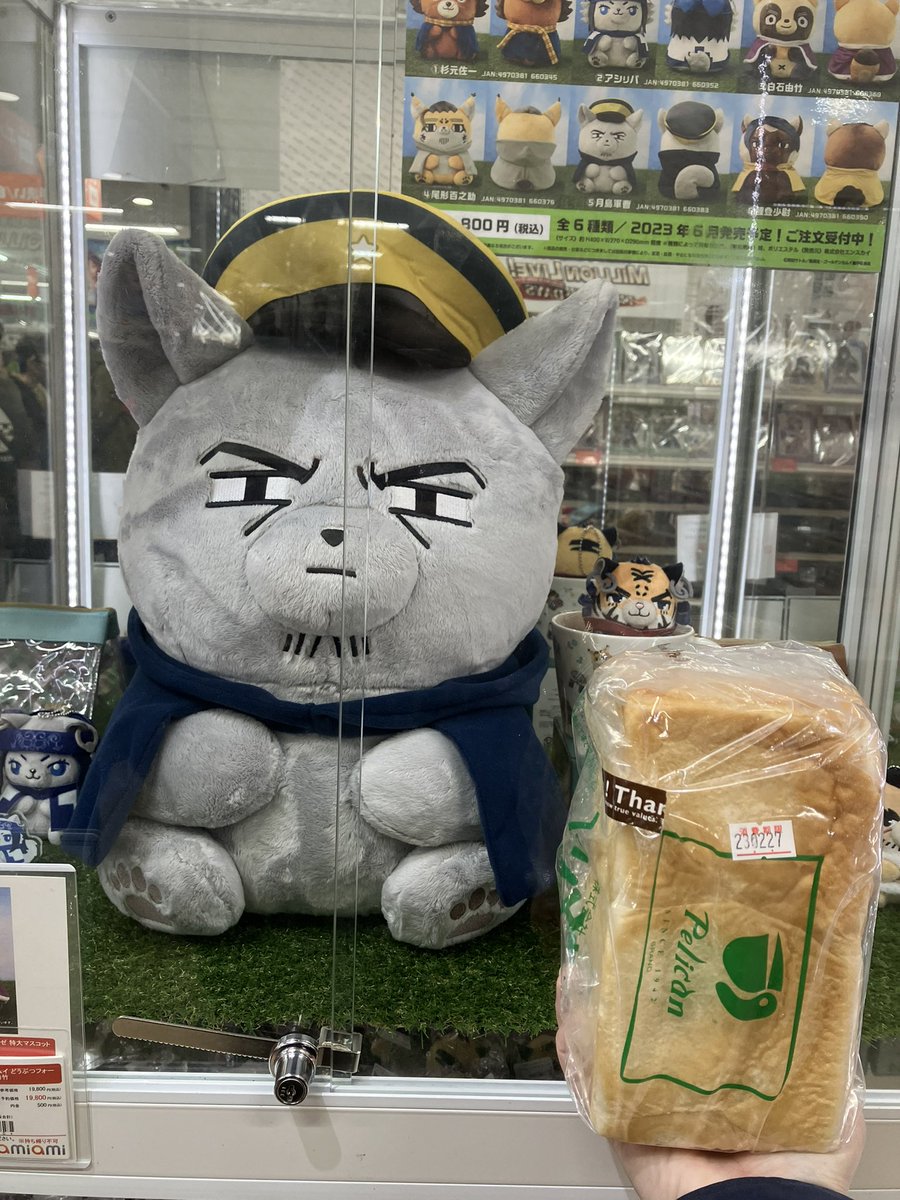 特大どうぶつフォーゼの月島軍曹、本当にでっかい（撮影許可済） 参考 