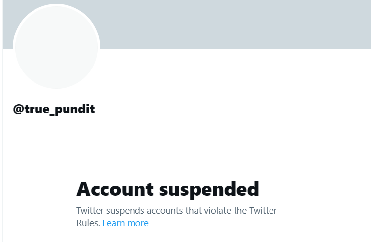 Mr. Musk, @elonmusk this account was suspended for breaking too many stories on the corrupt FBI & DOJ ... Let's see if you can restore it. Thx --Paine @true_pundit