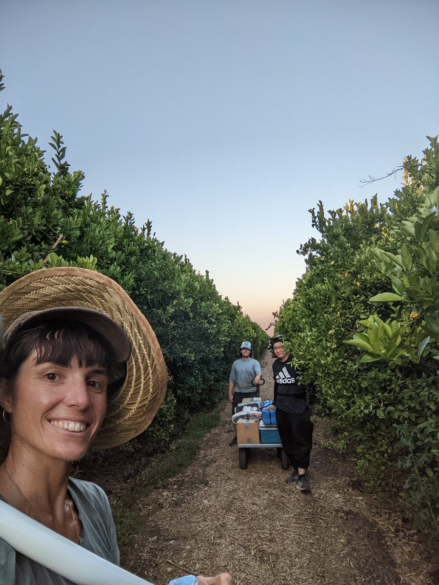 sandra_armengol's tweet photo. Thank you so much @YusenYuan! It was a pleasure to share this year with you and learn a lot about ET and mandarin. But even more important, from your great attitude when things were not going as predicted (always?!). I wish you the best for this new adventure!!!  #UCR #Isotopes https://t.co/3ww1rUFfxZ