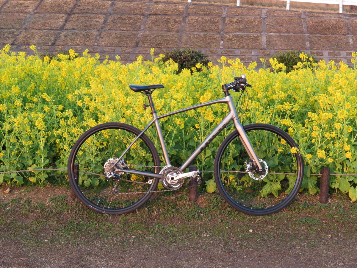AyukatIgaka's tweet photo. 武庫川サイクリングロードの阪急神戸線と山手幹線の間に菜の花畑があり、綺麗に咲いていますよー✨
いよいよ春ですねー🥰
:
#武庫川河川敷 #武庫川サイクリングロード #武庫川 #菜の花 #菜の花畑
#サイクリング #TREK #トレック #FXSport4 #FX4 #クロスバイク #MTBパーツに換装 #DeoreXT https://t.co/mjUug61tCJ