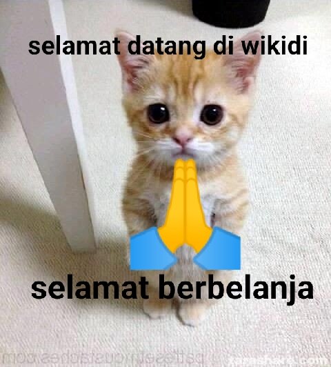 rainystars tweet media