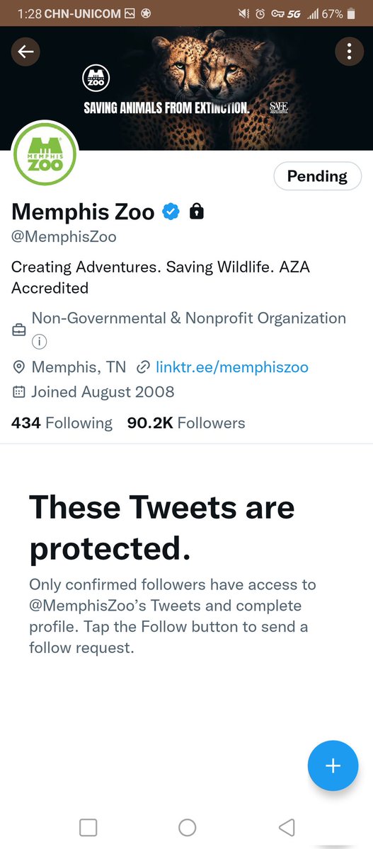 Dudes_Abroad's tweet photo. The @MemphisZoo  Memphis Zoo, instead of addressing this Panda issue has decided to make their tweets private. https://t.co/Lsi1VvLHRX
