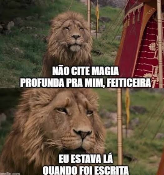 sr_concurseiro's tweet photo. Quando uma concurseira novata vem falar do art. 5° da CF... https://t.co/1adrdOtkQF