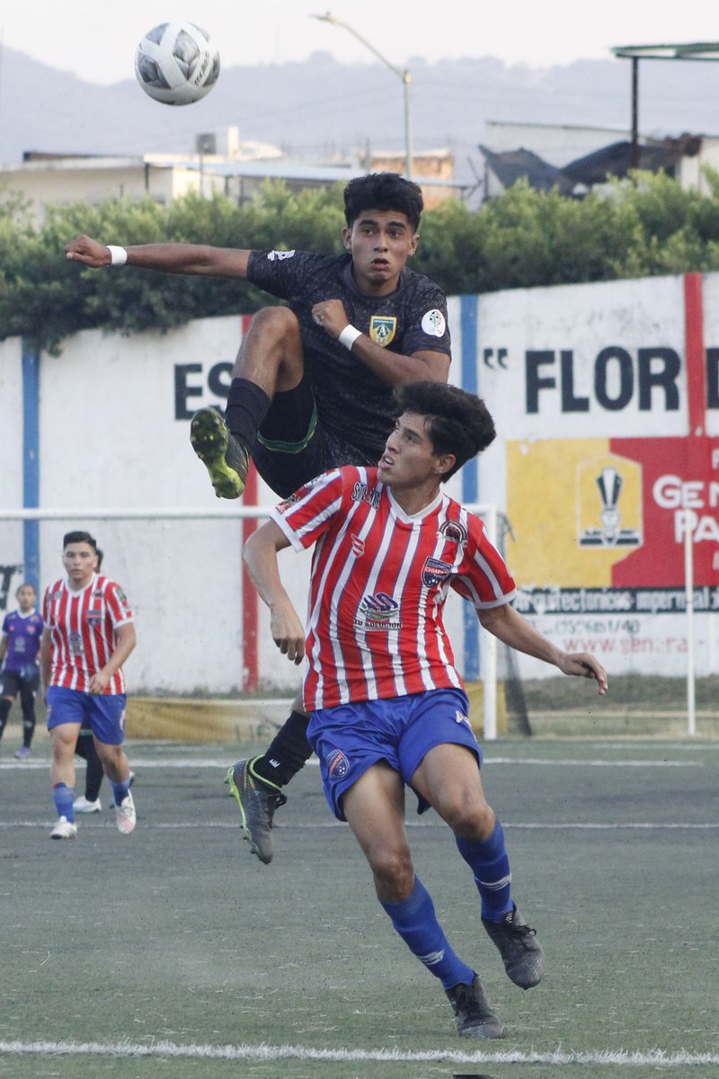 paco_jf's tweet photo. ¡Por fin ganan! | Con solitario gol de Leonardo Aquino, Chifut derrotó a Antequera, en juego que abrió la actividad de la fecha 15 del grupo 2 de la @LigaTDP @Terceramex @3ratv #futbol #Chiapas #ligatdp https://t.co/FOGSmywz6G