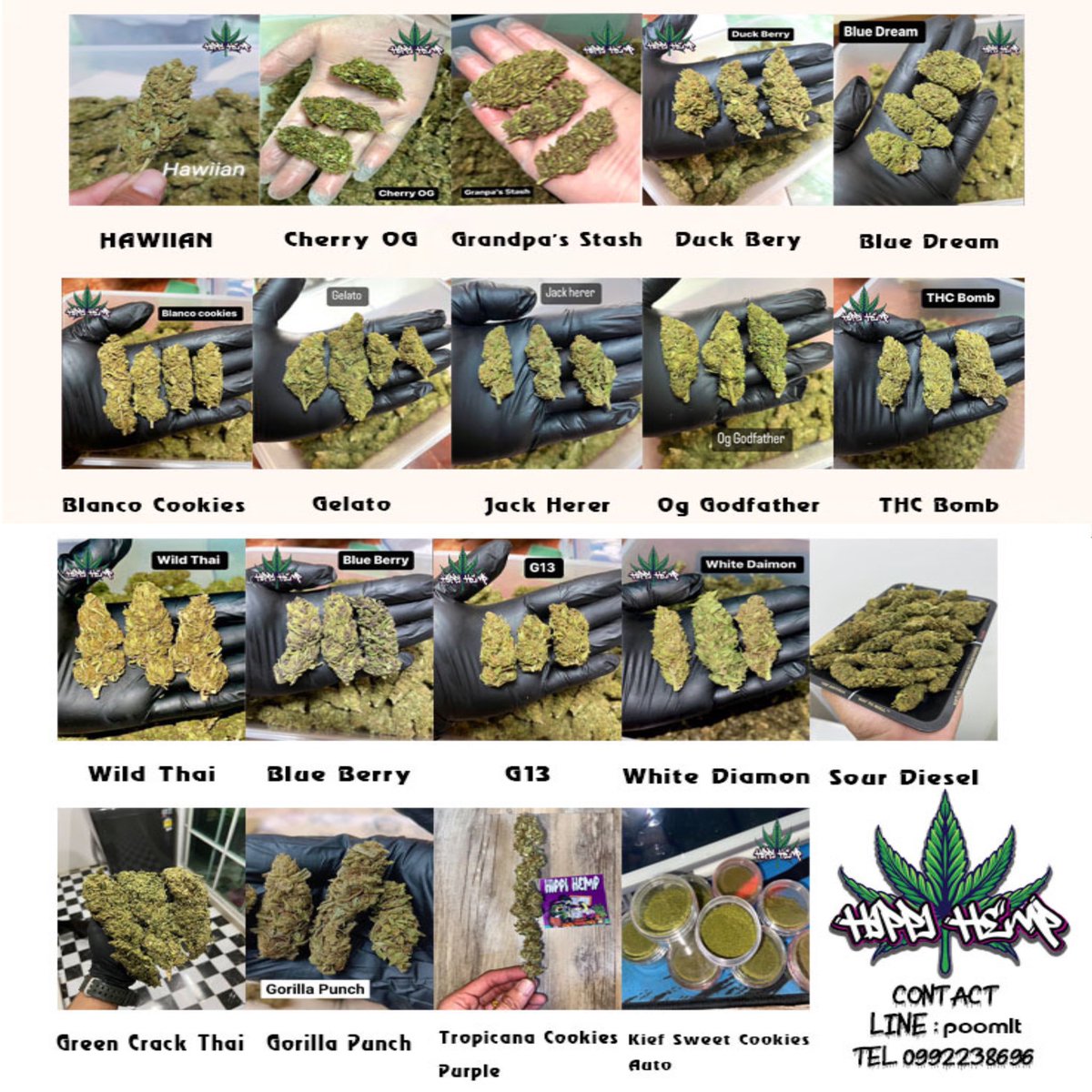 HippiHemp's tweet photo. Hippi Hemp อัพเดตของเข้าร้านใหม่🍭
🚀Moon Rock ราดน้ำมันกัญแท้100% คลุกด้วยKief&amp;Hazeมาใหม่🎉
#OG เกรด Mid-Top มี24สายพันธุ์
#ดอกPop มี4สายพันธุ์
#อัดแท่งOG สายพันธุ์นอกมี 3 สายพันธุ์
เริ่มต้น 100 - 220.ต่อกรัม
เครดิตซื้อขายแน่นๆ💗
#กัญชา #กัญชากรุงเทพ #กัญชาเชียงใหม่ #กัญชากทม https://t.co/pdc9dK5TJJ