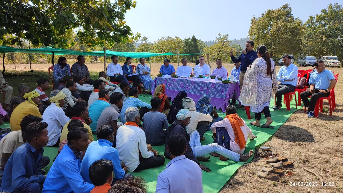 KrishnaDevTrip6's tweet photo. जिले से वन विभाग के माध्यम से फ़ूड ग्रेड महुआ ग्रामीणों से संग्रहण कर लन्दन के "ओ फारेस्ट" कंपनी को 110 रुपये प्रति किलो की दर से विक्रय कराया जायेगा। कलेक्टर के डी त्रिपाठी द्वारा ग्रामीणों को उच्च तकनीक से संग्रहित महुआ से होने वाले तीन गुना लाभ की जानकारी दी गई। https://t.co/AB4U68agEK