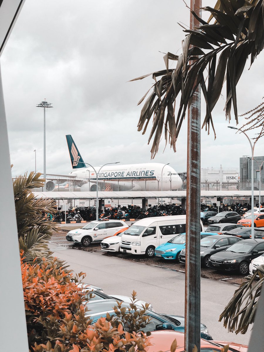 Pogs001's tweet photo. "I like to see people reunited, I like to see people run into each other, I like the kissing and the crying. I like the impatience, the stories, the hugging, the smiling, the bringing together and the end of missing someone".
@ChangiAirport
#PogsWanders #PogsPhotography https://t.co/Tah9bZ3Z7R