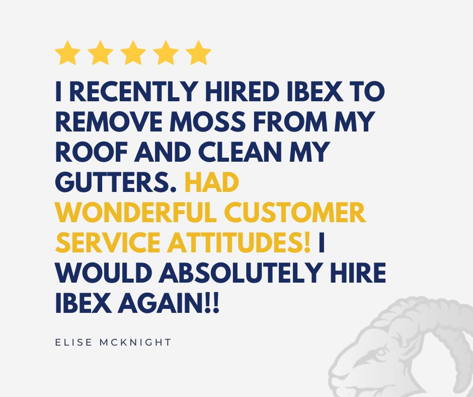 IbexRoof's tweet photo. IBEX never ceases to amaze! 🙌

#roofer #roofing #ibexroof #roofingcompany #roofingcontractor https://t.co/3ugDDxRyVt