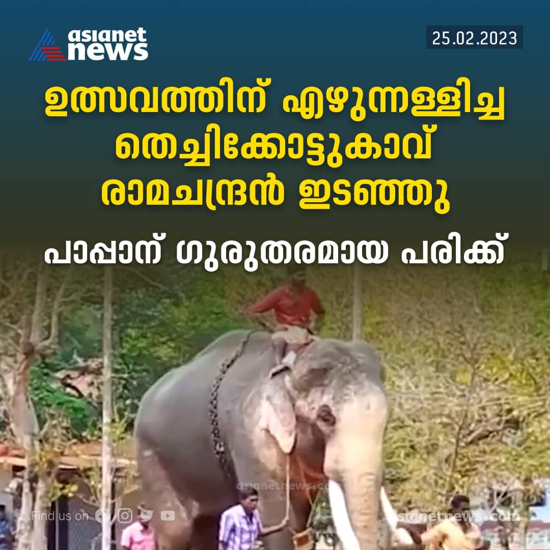 mvn115's tweet photo. ആനയാണ്. https://t.co/0gnXfHN6YY