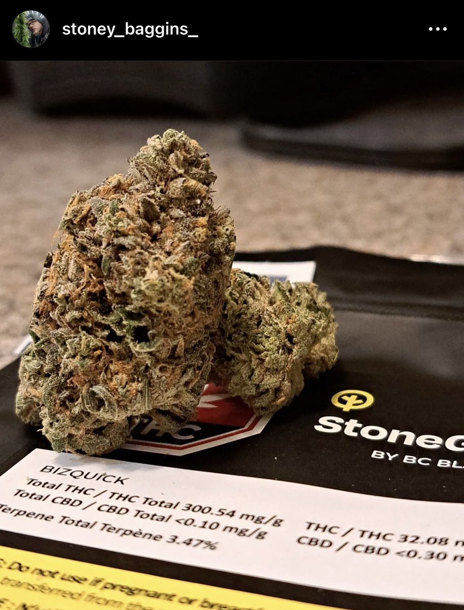 Another killer pack of Bizquick! Grown by StoneGrove with <a href="/RemoNutrients/">Remo Brands Inc</a> <a href="/MIIMHort/">MIIM Horticulture Ltd.</a> in Golden, British Columbia! <a href="/Umamiseedco/">Umami Seed Co™</a> <a href="/CraftJoint/">DEALR Processing</a>