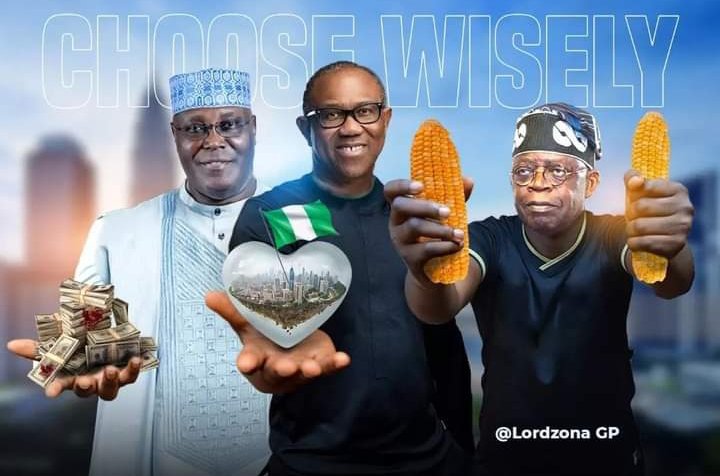 Chigozieialex's tweet photo. Retweet if you're voting Peter Obi today ✅ https://t.co/lLyhvavLyX