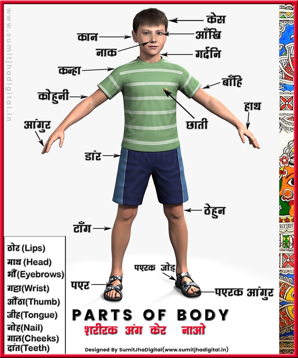 gaamgharnews's tweet photo. हिन्दी और अँग्रेजी मे #Parts of body यानी शरीर के अंग का नाम सबको पता है। आइये जानतें हैं कि बिहार की एकमात्र संवैधानिक भाषा मे शरीर के अंगों को किस नाम से जाना जाता है
Designed by: Sumit Jha digital
#maithili https://t.co/P6MkiYkeOY