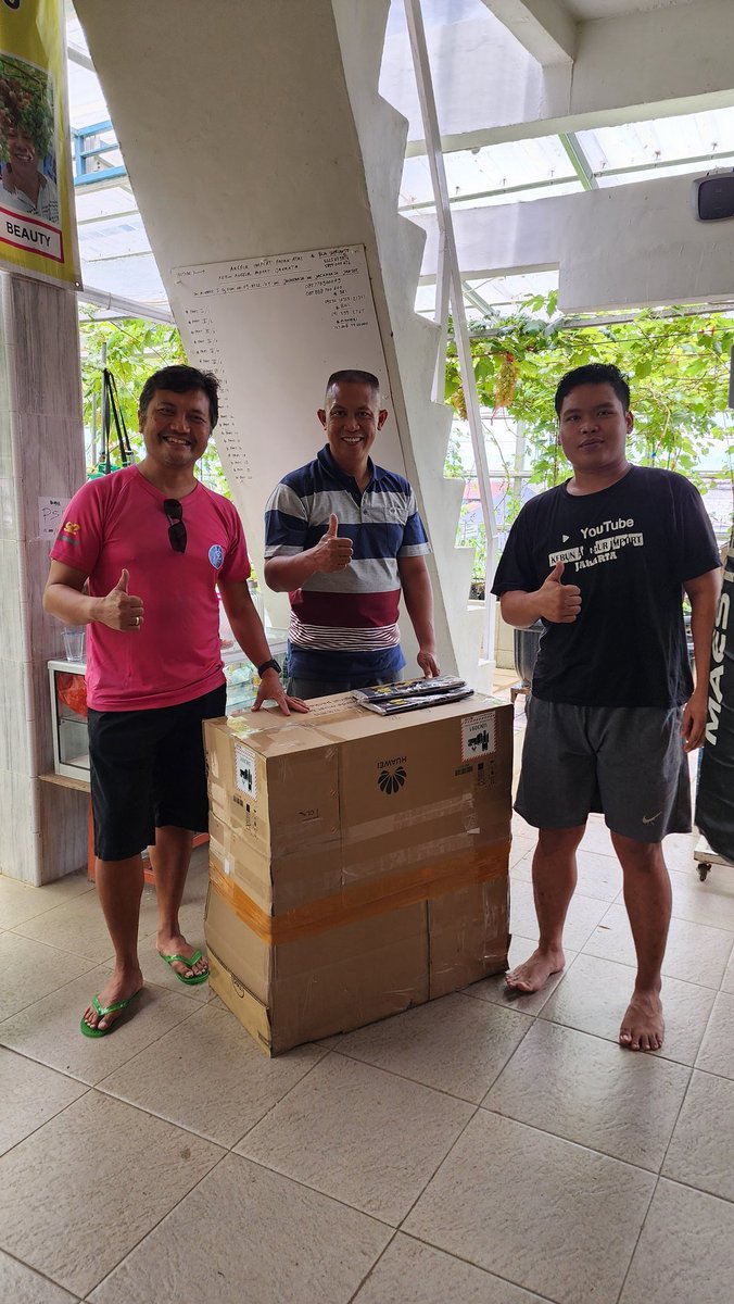 Beli langsung di Kebun Anggur Import Jakarta. Pak Supriyanto ahlinya anggur. Beliau dulu marinir. Instruktur anggur di tempat Bu @susipudjiastuti. Ilmunya paten, saya tinggal ikutin aja, dan hasilnya mantap alhamdulillah. Cek lapaknya di Shopee, Tokped.