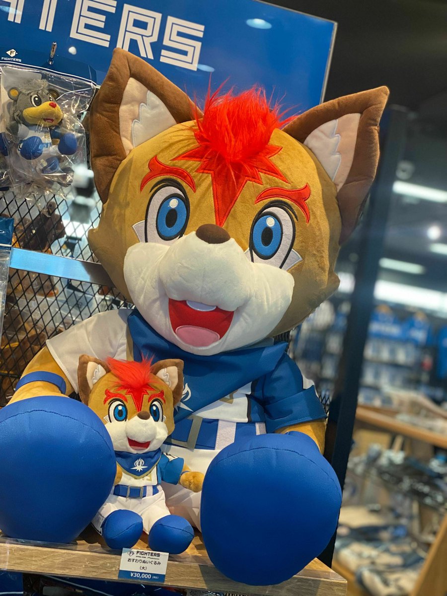 モンチッチがレポート☆】北海道日本ハムファイターズファミリー