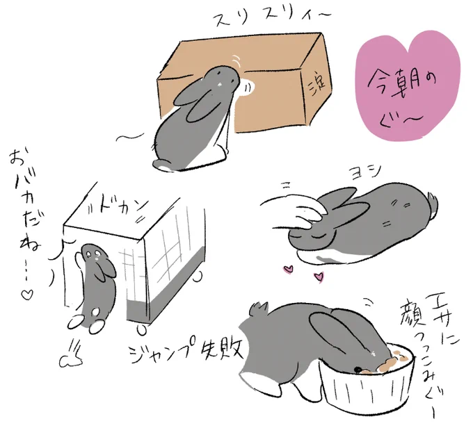 とれたてグー日記 