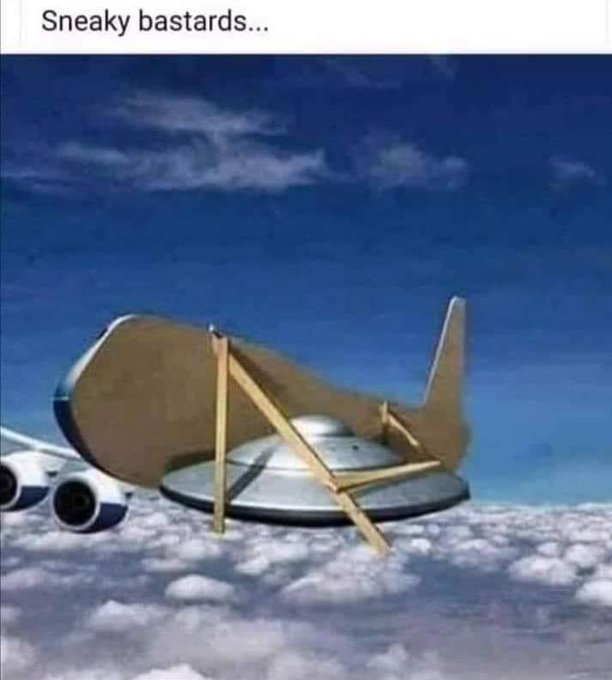 SueZieCue's tweet photo. #HowToTrapAnAlien
It can't be done..they are super sneaky. https://t.co/PKsY4K9aVR