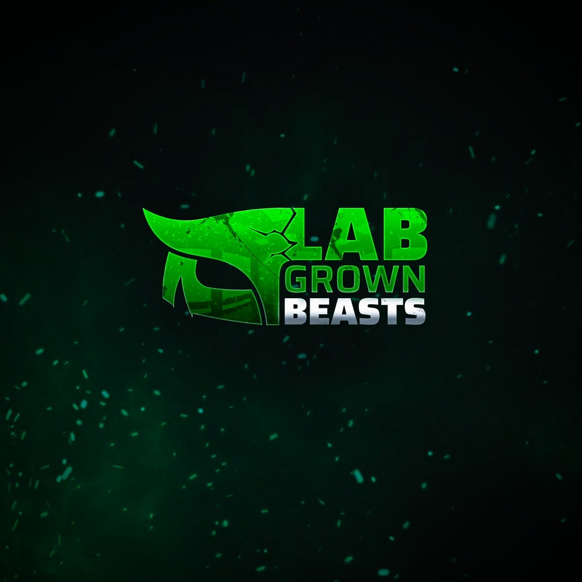 eggbomb.eth (🥚) tweet media