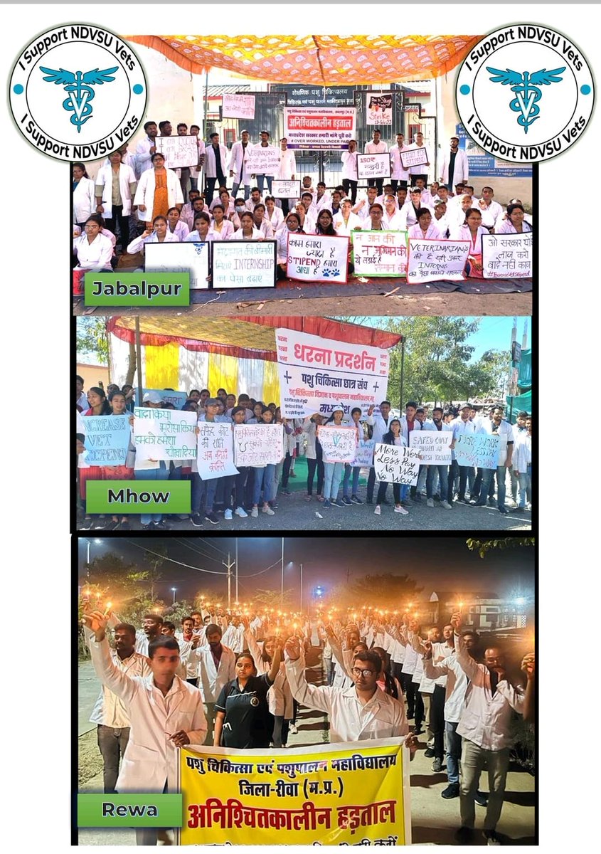 8055_kp_'s tweet photo. #increaseMPvetStipend
#VetStandUnited
#मध्यप्रदेश_शासन_होश_में_आओ
@ChouhanShivraj 
@narendramodi
@drnarottammisra 
@JagdishDevdaBJP 
@rshuklabjp 
@SonuSood 
@presidentVCI https://t.co/U9Rq2aipC7