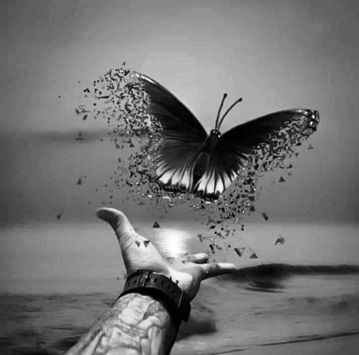 Sehrish_45's tweet image. -جب آپکی ذات سے کوئی انسان دو قدم پیچھے ہٹ رہا ہو تو کوشش کریں, کہ آپ چار قدم پیچھے ہٹ جائیں اسکو عزت نفس کہتے ہیں, کیونکہ جس کے لئے آپ کی ذات اور آپکی بات بے معنی ہو جائے تو راستہ بدل لینا ذہنی اذیت سے بچنے کا بہترین طریقہ ہوتا ہے,
#TaSsi