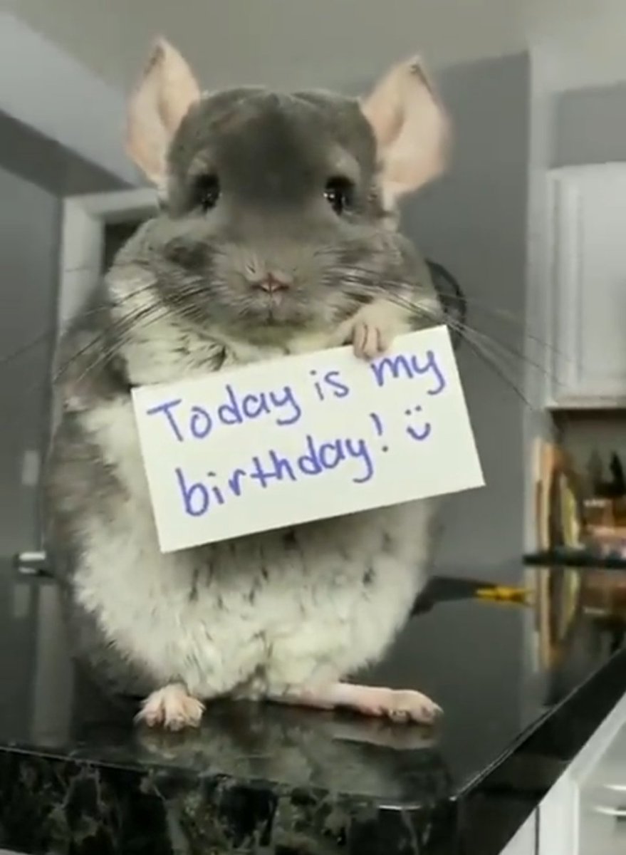 RokkPrada's tweet image. #Chapter41 🥳🎉🍹🎂🥰♓️❤️