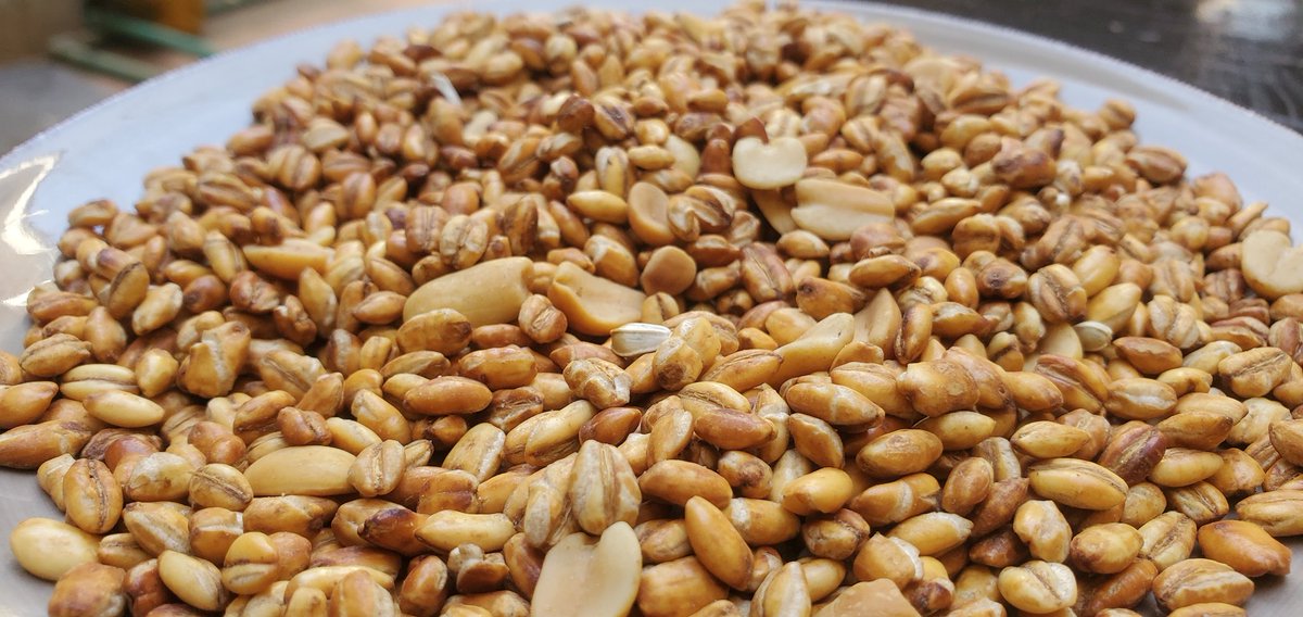 Hadgitourism's tweet photo. #Qolo is a home-made traditional dessert common in #Tigrai. Helpful for digestion and other health benefits, it can be packed and exported to areas populated with #Habesha communities. https://t.co/qhOg61foCx