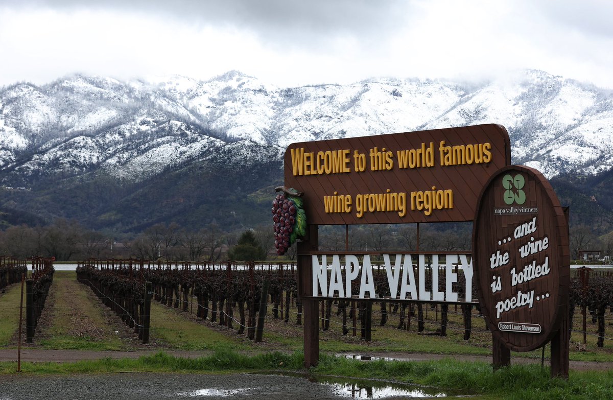 reddcollection's tweet photo. Hello from Wine Country. https://t.co/dE0yB93UEJ