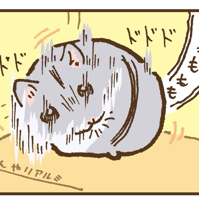 ハムスターの躍動について日々考えています。 