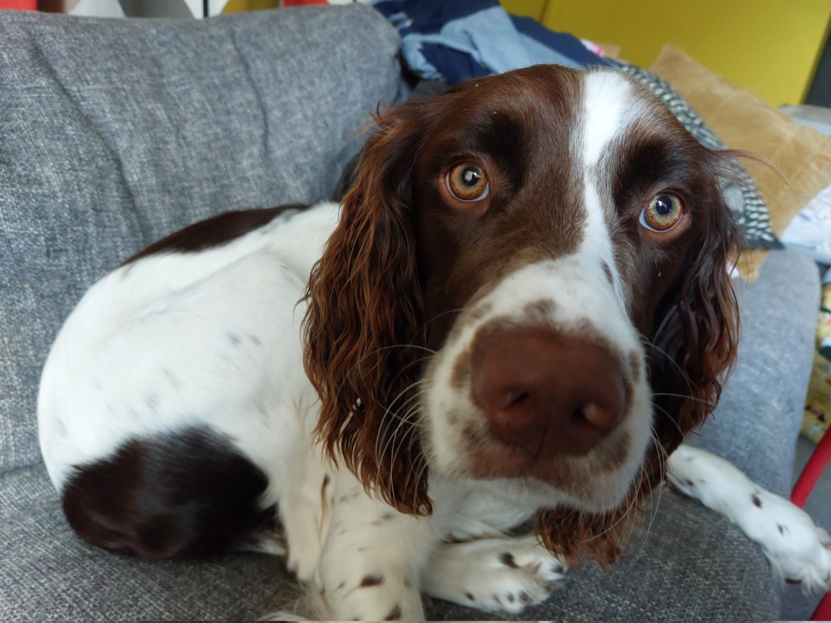 Andrew Wooster (@keepeducating) on Twitter photo 