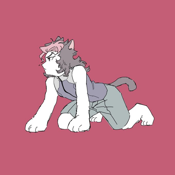 こじし 