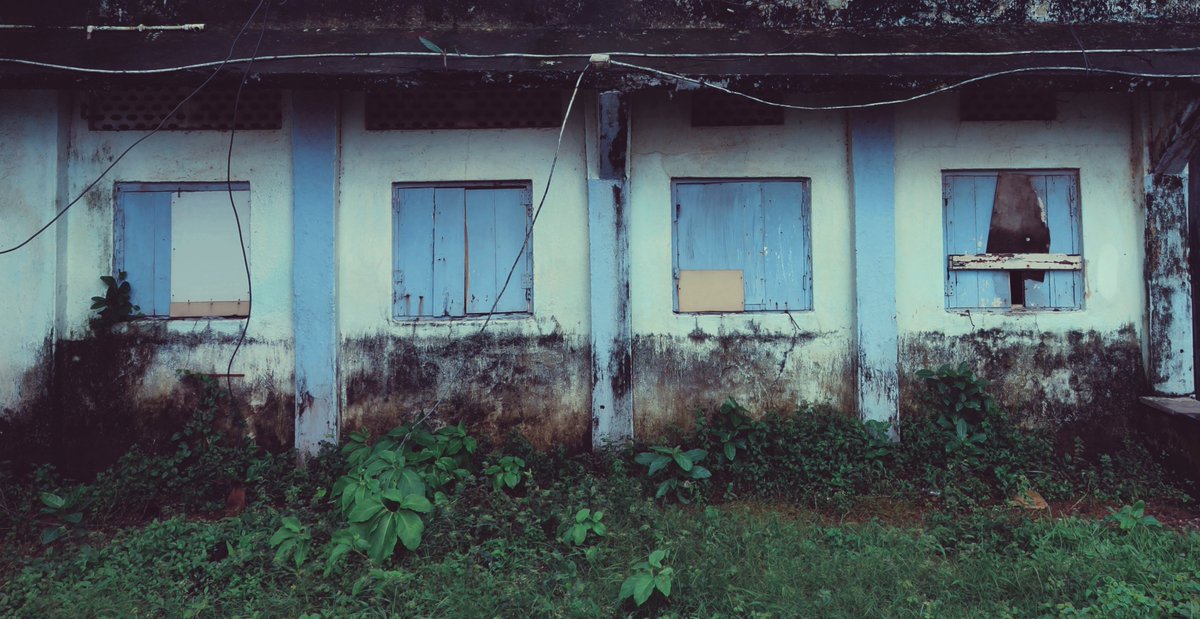 Devang/01011993.eth tweet media