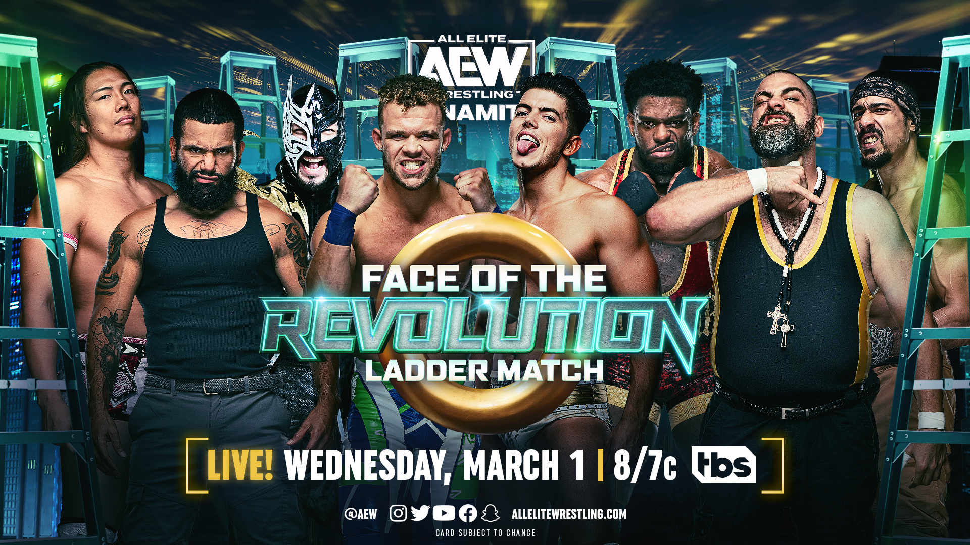 Face of the Revolution Ladder Match