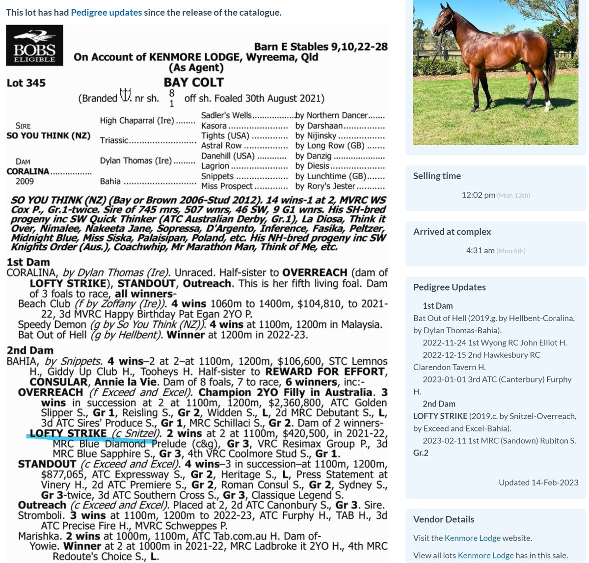 oz_rh_australia's tweet image. GIオークレープレートで3歳ながら2着に入ったLofty Strike は先日のIinglis Classic Saleでライジングサンシンジケートが落札したLot345の近親です
#オーストラリア競馬
#RisingSunSyndicate
#LoftyStrike