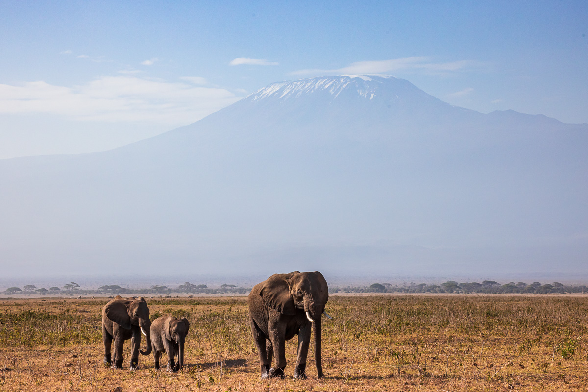 Kili, oh Kili, thank you for your wonderful views! #amboseli #kenya #photosafari