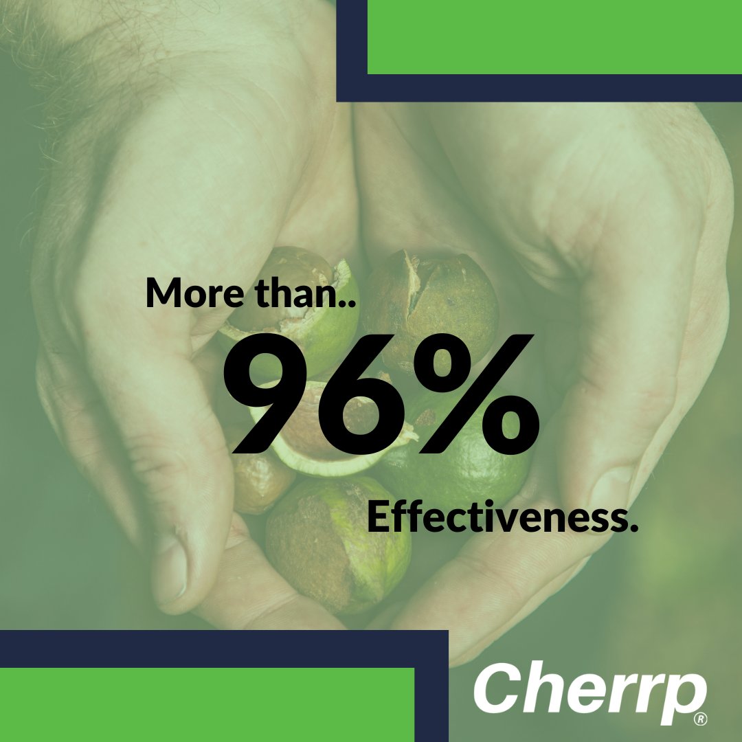 MORE than 96% effectiveness in deterring birds from your crops!

#wildlifemanagement #wildlifemanagementsolutions #agritech #agtech #aitech #aitechnology #australiatech #innovativetechnology #birddeterrent #wildlifetech #wildlifesystems #farmingaustralia #australianfarming