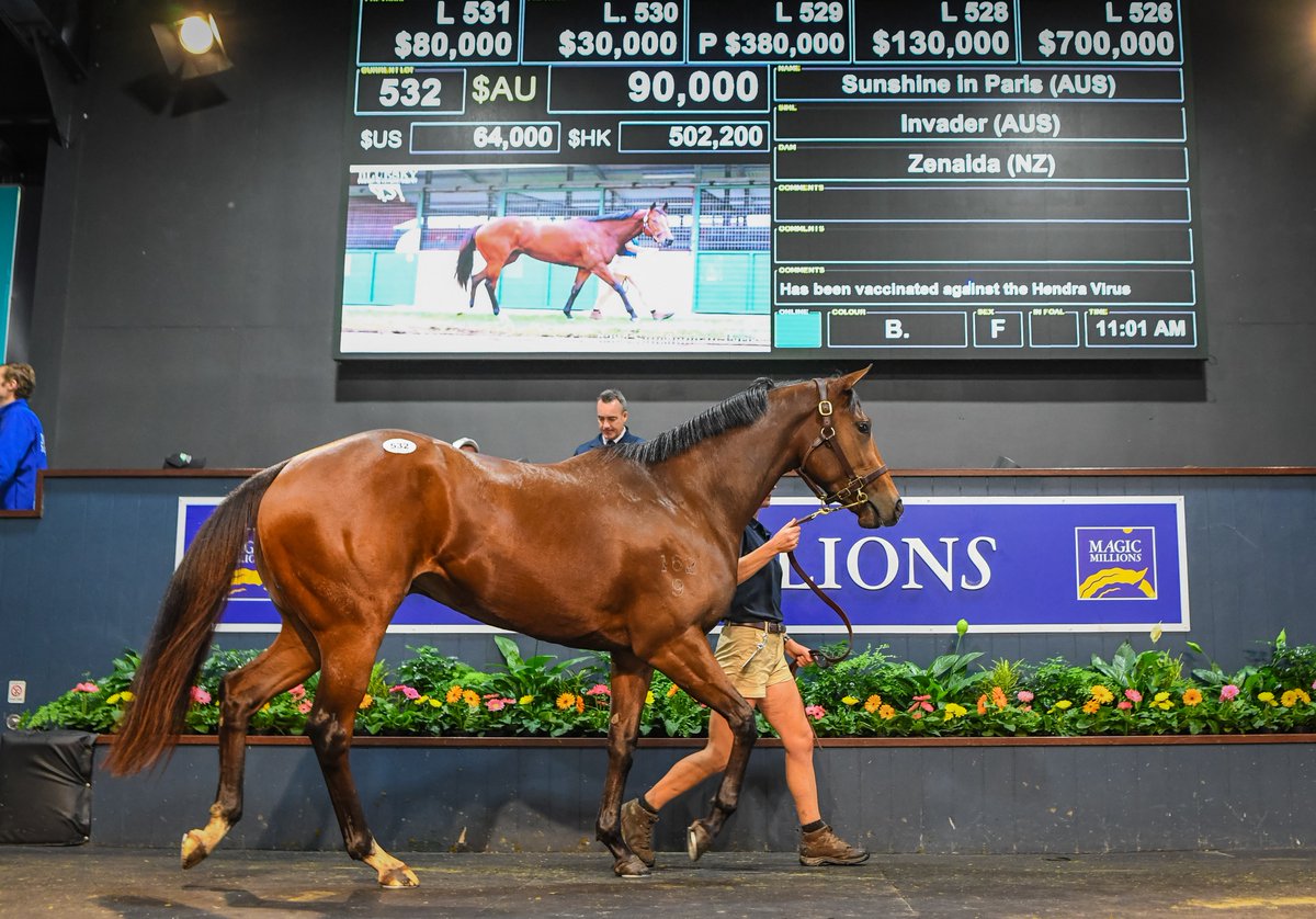 mmsnippets's tweet photo. Sunshine in Paris selling for $90,000 at the 2022 Gold Coast National Broodmare Sale. Congratulations to Champagne Bloodstock with the buy from the Blue Sky Premium Consignment draft.
Today she was a G1 winner of the Surround Stakes!
#MoreMagic #MMNational https://t.co/3WaP4yOsKC