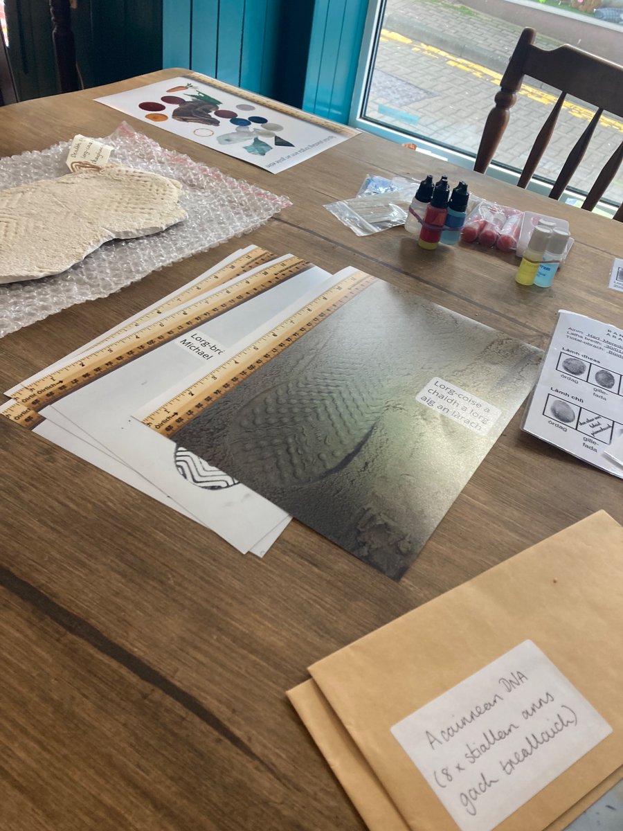 Dr Inge Birnie tweet media