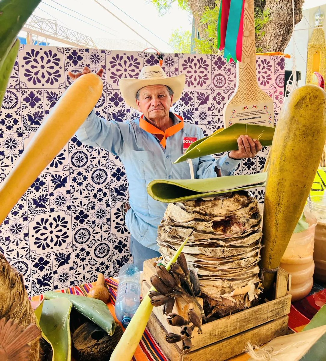 HgoTravel's tweet photo. ¡Saborea Hidalgo! No te pierdas este fin de semana La Feria del Mole en Atotonilco el Grande, Hgo.
Este evento forma parte de las actividades realizadas en la Feria del Calvario 2023 en honor al Señor de Tezoquipan. #HidalgoTieneAlgo #Gastronomía #VenAComer #SaboreaHidalgo https://t.co/suInS79JDv