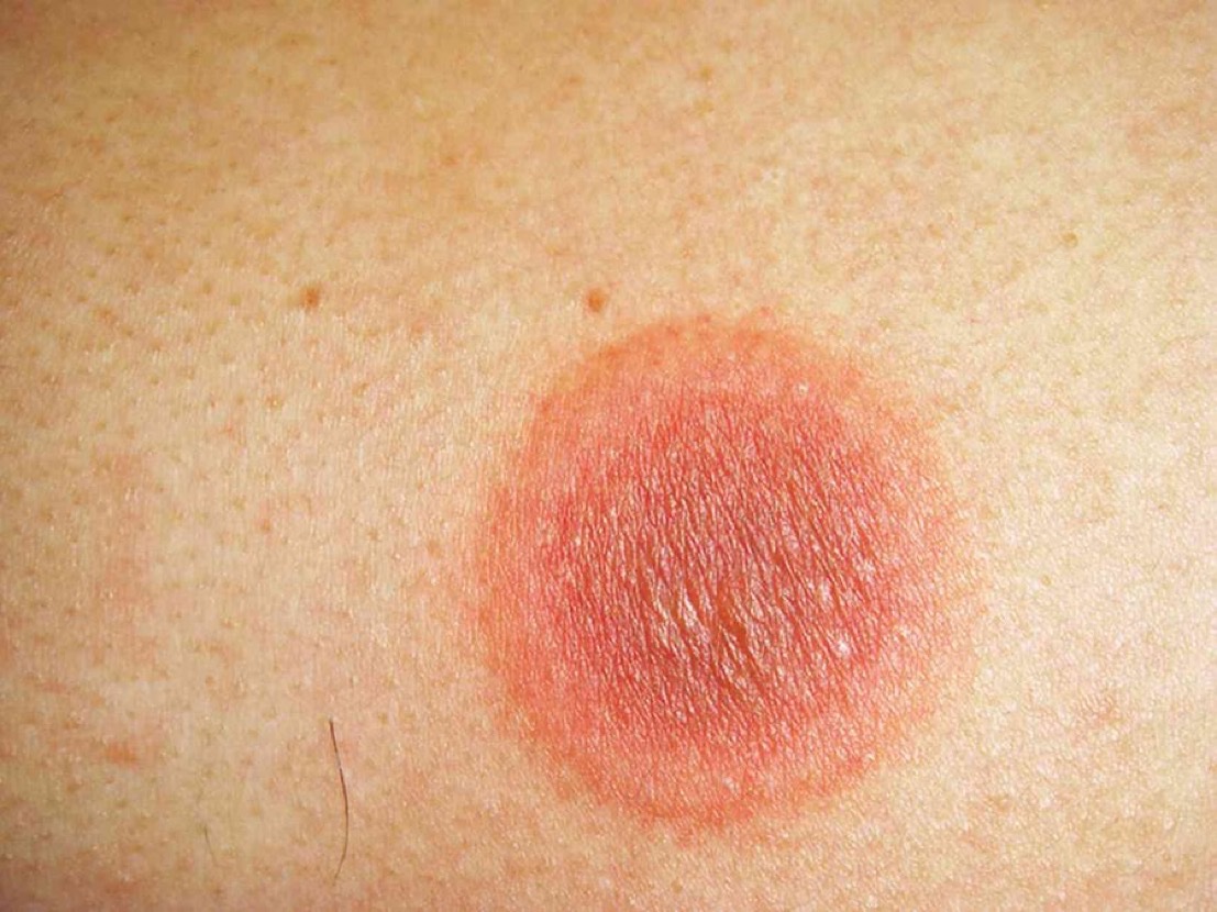 Journal of Brown Hospital Medicine tweet media