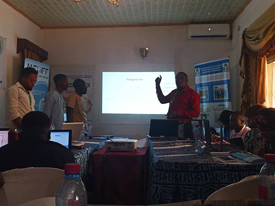 cedbcam_ri's tweet photo. Participants then work on their tutorial project from data retrieval to phylogenetic reconstruction and presentation of the results. https://t.co/0NMAK8MRky