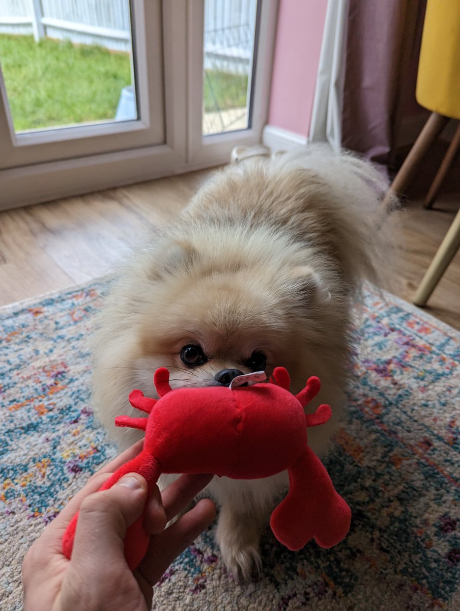 Sp4ghettiCode's tweet image. 🦀 #NorDevCon23