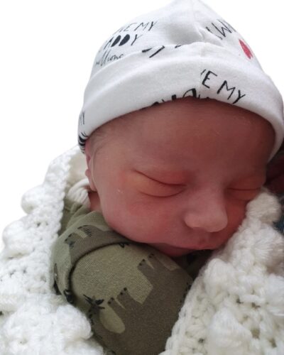 Welcome to Theodore! - biltonsilver.co.uk/2023/02/25/wel…