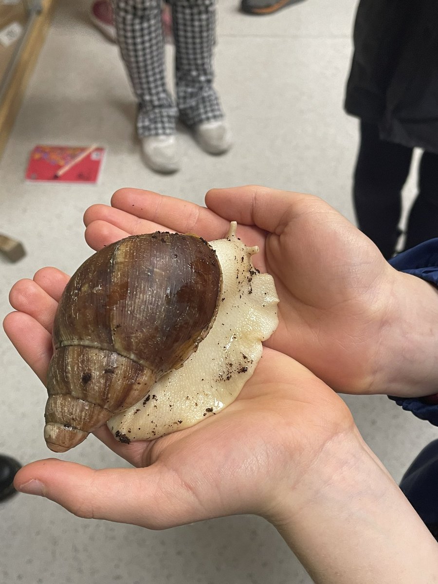 Youth Academy (@yauniofgalway) on Twitter photo “Adventures through the Tree of Life: A Crash Course on all things Zoology” course on a visit to the museum in the <a href="/RyanInstitute/">Ryan Institute @ University of Galway</a> at <a href="/uniofgalway/">Ollscoil na Gaillimhe | University of Galway</a> this morning #zoology “Adventures through the Tree of Life: A Crash Course on all things Zoology” course on a visit to the museum in the <a href="/RyanInstitute/">Ryan Institute @ University of Galway</a> at <a href="/uniofgalway/">Ollscoil na Gaillimhe | University of Galway</a> this morning #zoology